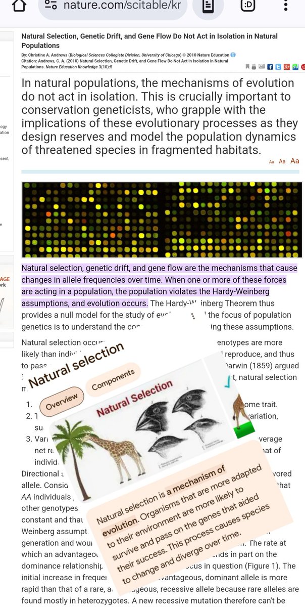 Oceanworldfree's tweet image. ⚫&quot;Chinese gene unchanged for 3,000 years in cradle of civilisation: study&quot;
_______________
⚫&quot;#NaturalSelection, #GeneticDrift, and #GeneFlow do not act in Isolation in natural populations&quot;

⚫&quot;#Evolution focuses on change due to natural selection,&quot; &quot;Survival of the Fittest&quot;