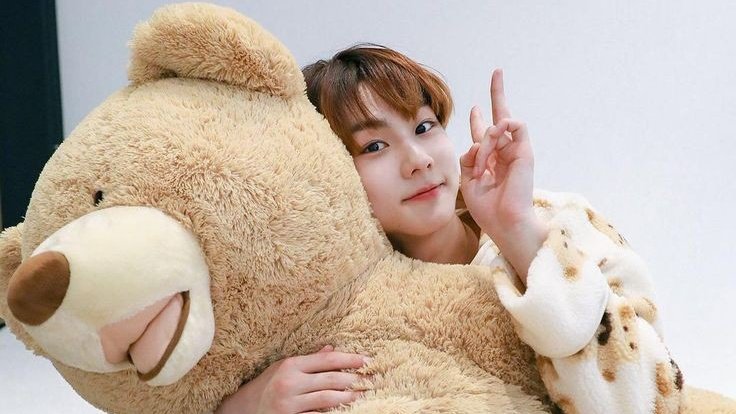 jjkgirlie_'s tweet photo. DROP TAGS‼️
#WeLoveYouJungwon 
#PROTECTJUNGWON 
#JUNGWON #ENHYPEN_IS_SEVEN
#LEADERYANG https://t.co/v0qPuW19Y3