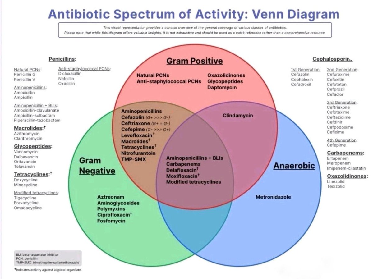 Antibiotic Spectrum of Activity

(Source Unknown) h/t <a href="/nihardesai7/">𝗡𝗶𝗵𝗮𝗿 𝗗𝗲𝘀𝗮𝗶 MD, DM</a>