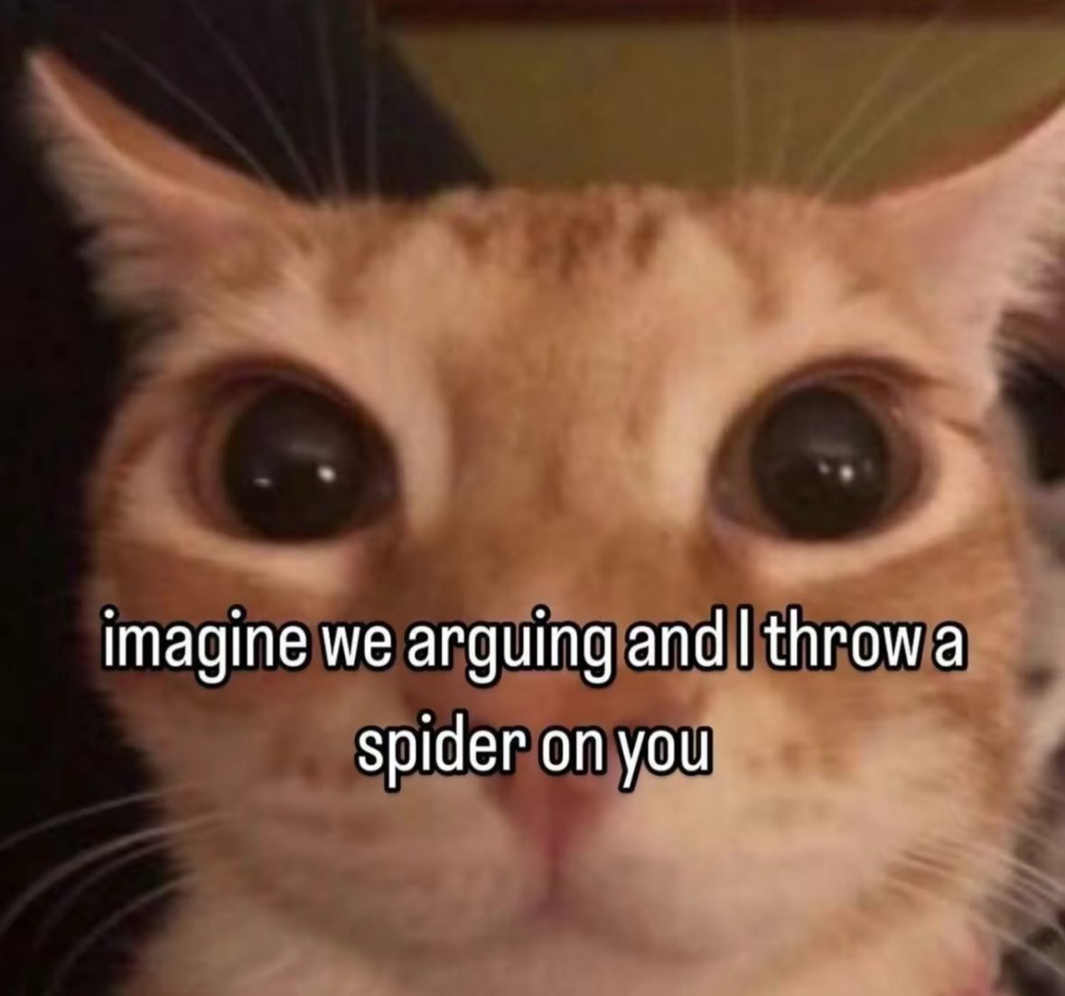 Airdorf's tweet image. Gary Miller be like