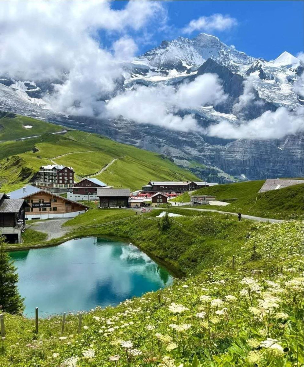 Swiss Nature (@natureswiss) on Twitter photo 