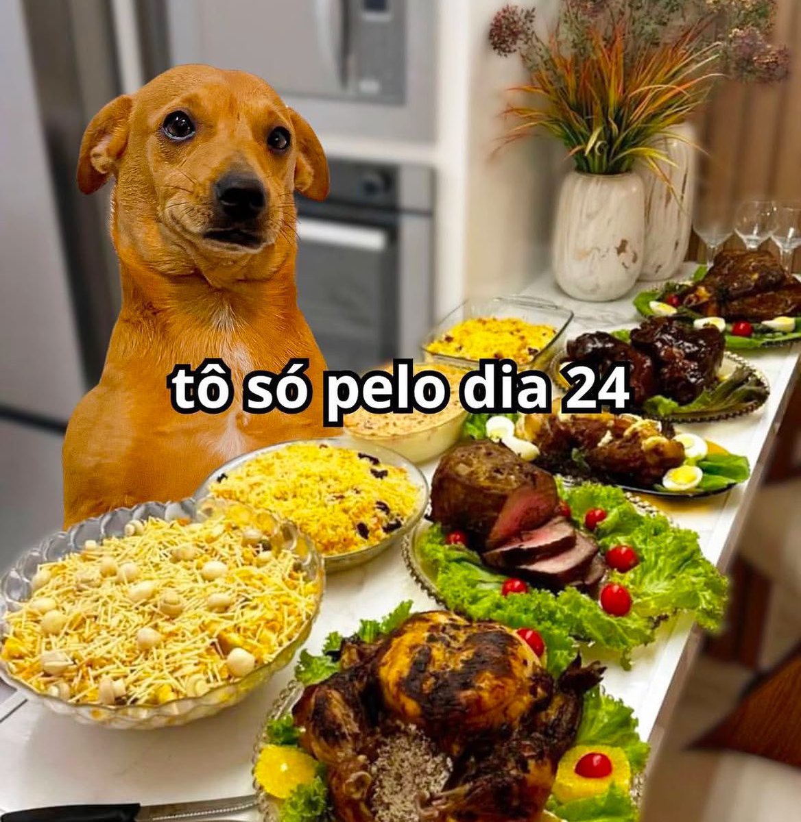não vejo a hora