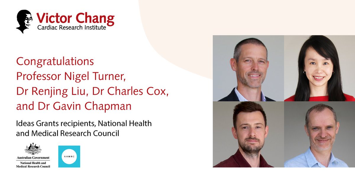 VictorChangInst's tweet photo. Prof Nigel Turner + Drs @Renjing_Liu, @Charles_D_Cox + Gavin Chapman have been awarded @nhmrc Ideas Grants to develop treatments for obesity and aortic aneurysm, to investigate CHD genetic mutations + identify targets for anti-fibrotic therapies. Congrats! https://t.co/Go5CnNNJ6A https://t.co/sagQuVeVi9