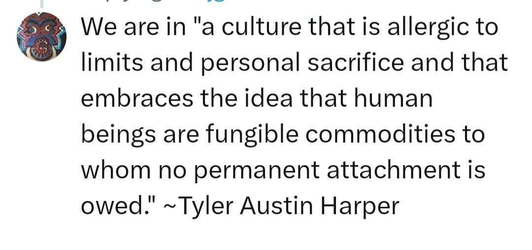 Shawn Hadley tweet media