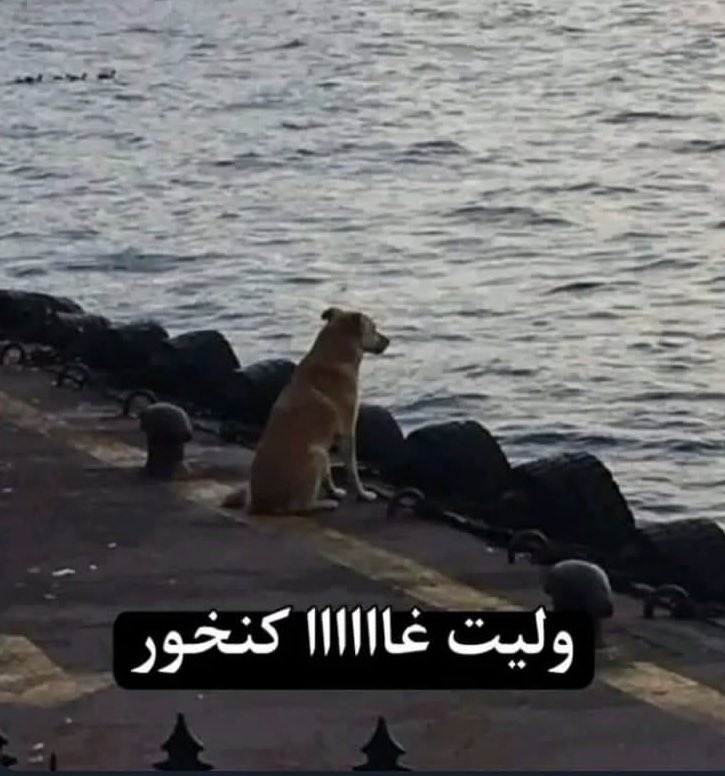 hatimaa33za's tweet photo. And proud https://t.co/Vm1q80Czgq