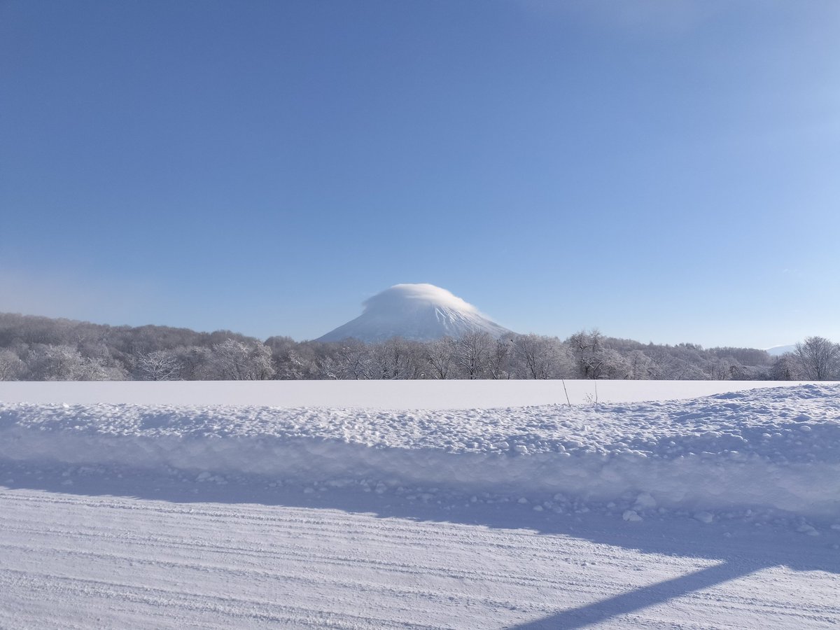 ともすずか tweet media