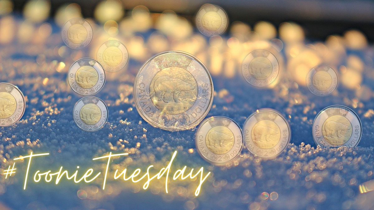 <a href="/eileenschuch/">eileen schuch</a> <a href="/ab3support/">Підтримай Третю штурмову</a> Find those Toonies!!