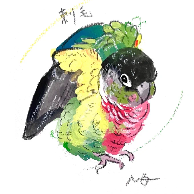 #小鳥時光 オーダー作品のご紹介色彩の魅力あふれるウロコインコさんです 