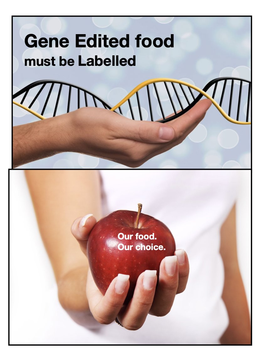 Brand New Zealand tweet media