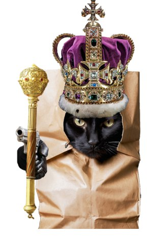 Concat is alpha on #CAT20 #longcon

Join TG to see why t.me/ConCat_FB