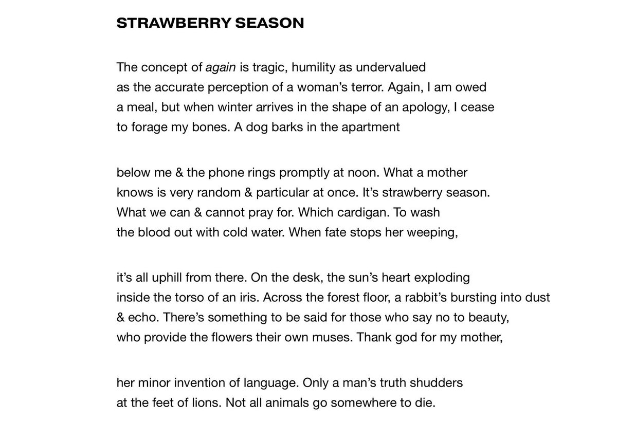 susanlleary's tweet image. I have a new poem in The Women’s Issue of The Arkansas International (@thearkint) that I'm really proud of &amp;amp; happy to share: "Strawberry Season" in praise of my mother. This poem is also forthcoming in MORE FLOWERS (@triohousepress 2026)! I hope you give it a read! 🖤♥️⬇️