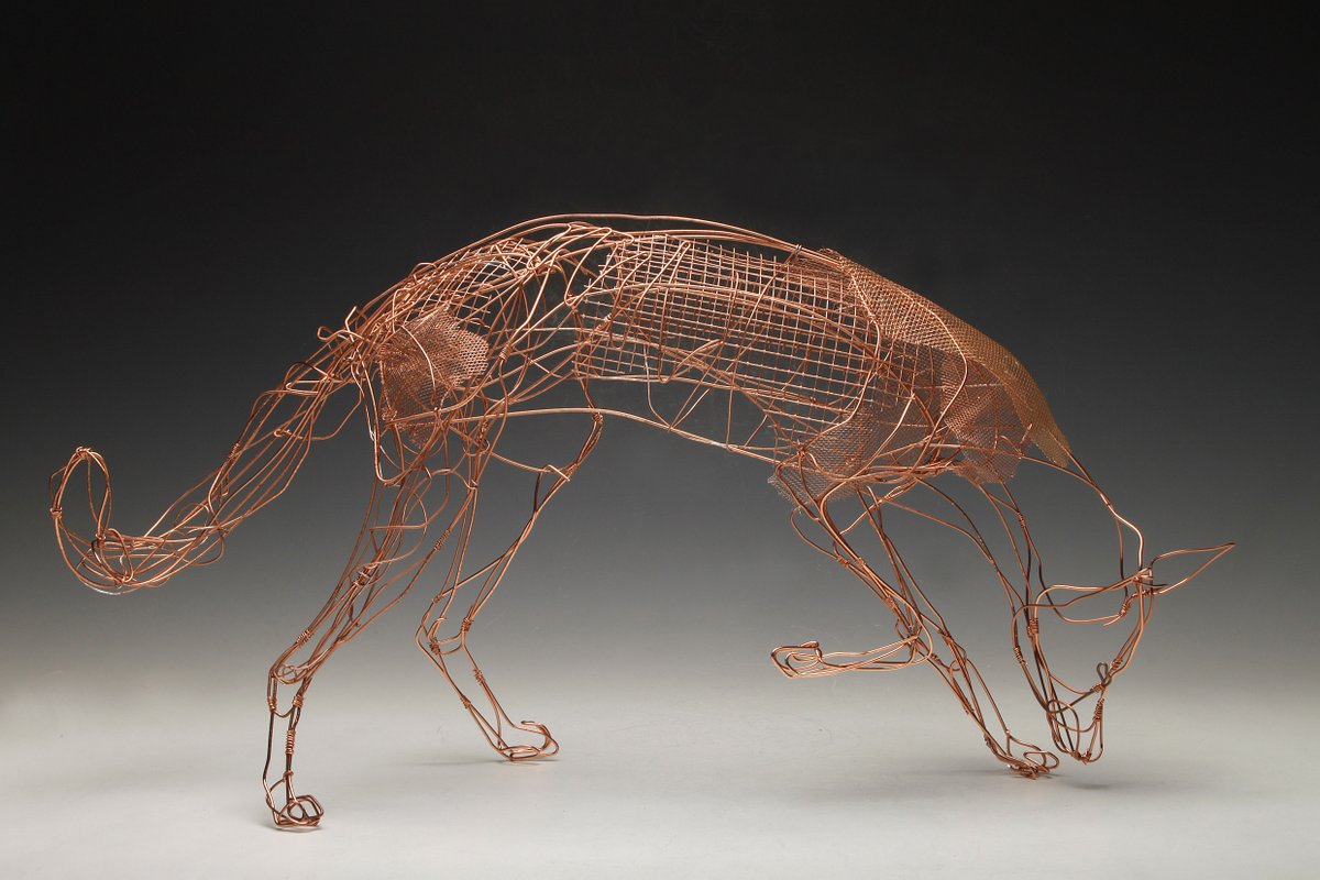 Ann Petherick tweet media