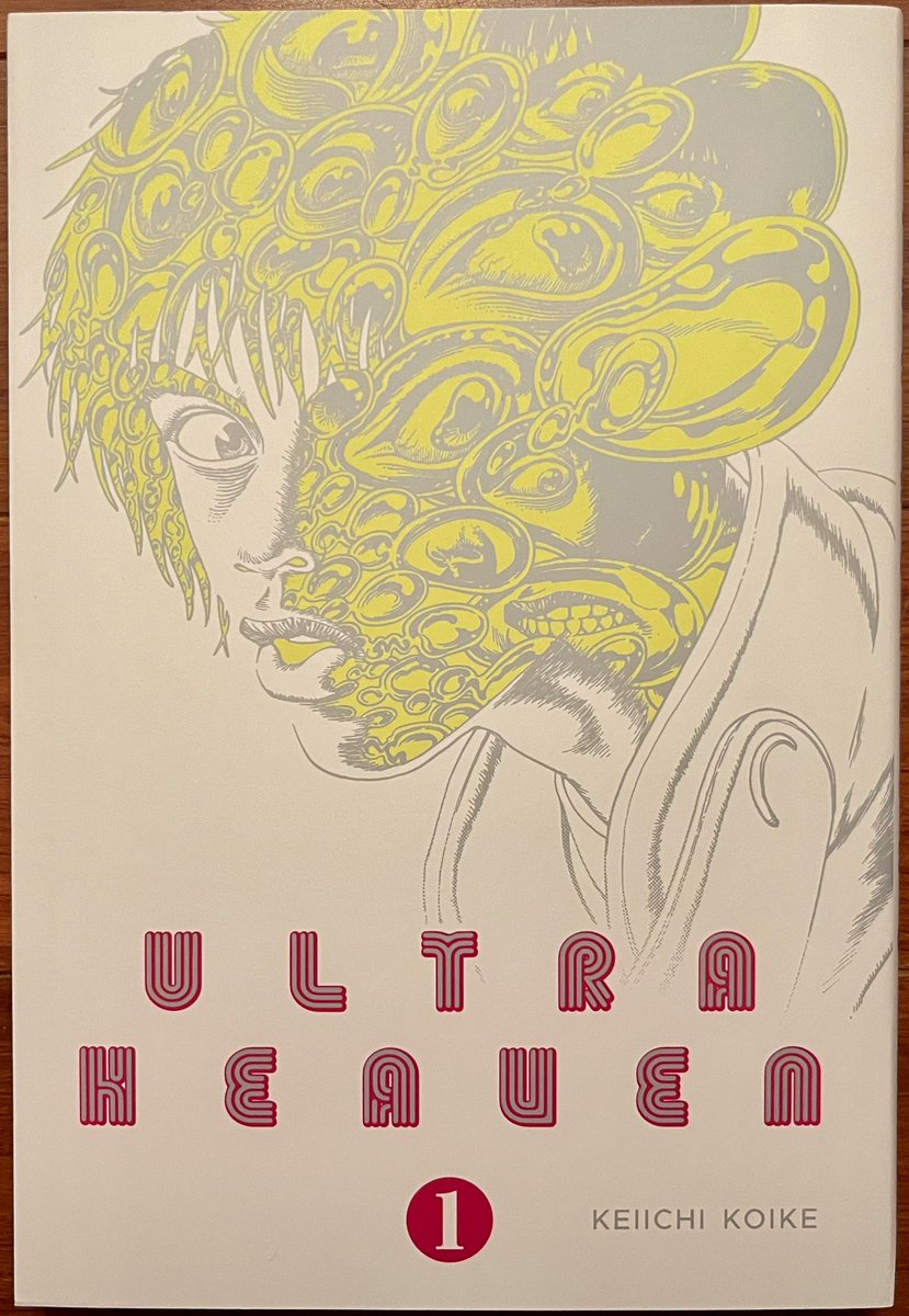Ultra Heaven Vol .1 by Keiichi Koike, he must have done all the
