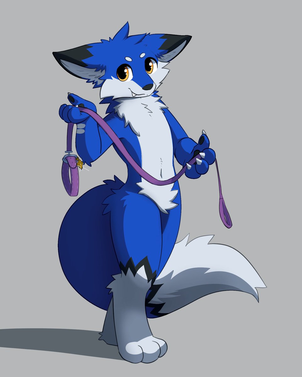 zell950's tweet image. Collar