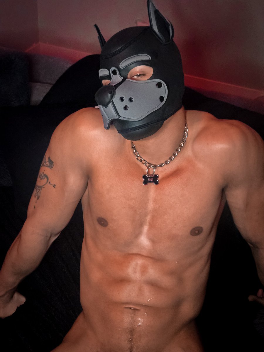 Round Awroo?🐾
#servicepup #musclepup #goodboy