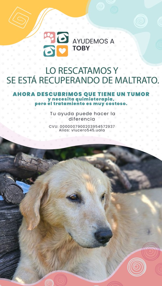 por favor si nos pueden ayudar con Toby, ya sea difundiendo o colaborando con lo más mínimo, todo suma !!! Se merece una segunda oportunidad 🙏🏽🙏🏽