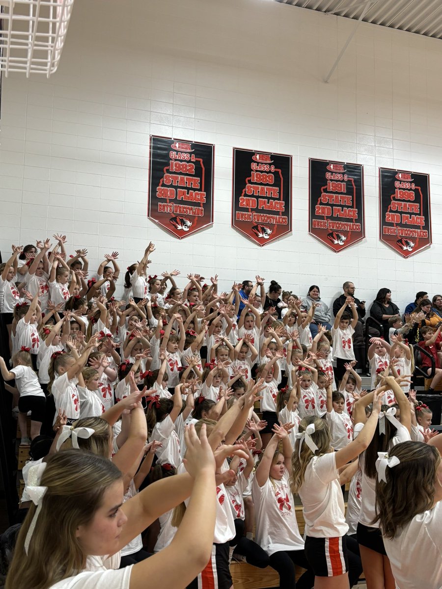 cmartzluf's tweet photo. Little Cheerleader Night! #ibtigerpride https://t.co/Hz9QtdJkE3