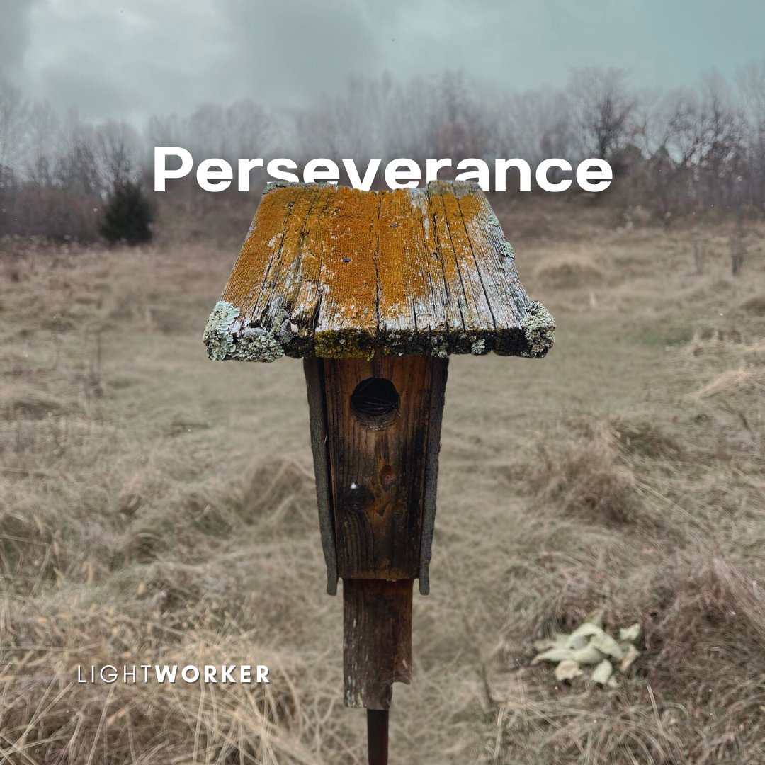 Perseverance in family law means pushing through the challenges, staying strong for yourself and your loved ones.

Stay strong, stay organized. LightWorker is here to guide you through every step.

**COMING SOON**