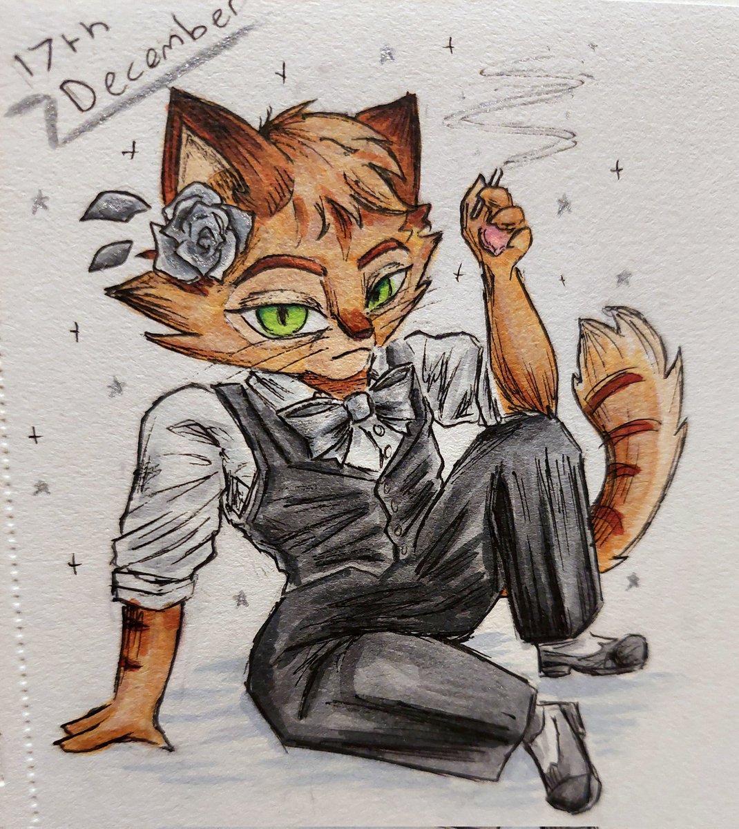 It's the 17th of December and Sy is looking so, so good-

#lackadaisy #LackadaisyCats #LackadaisySy