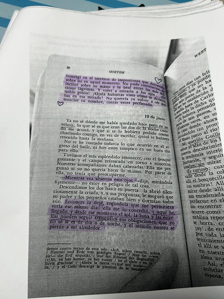 Literatura comparada es mi filosofía de vida