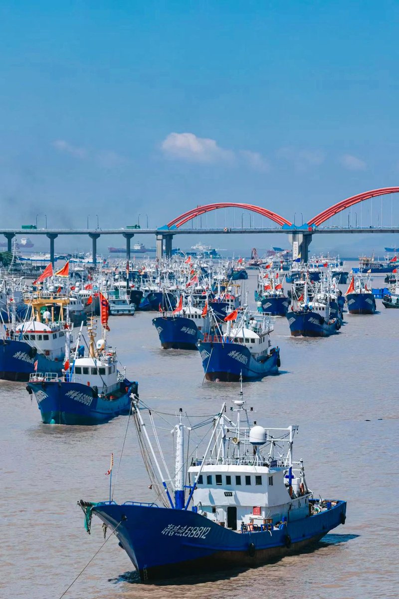 中国🇨🇳浙江
舟山开海，千帆竞发。

#China #ChinaTravel #Naturalbeauty #NaturalPhotography #Natural #View