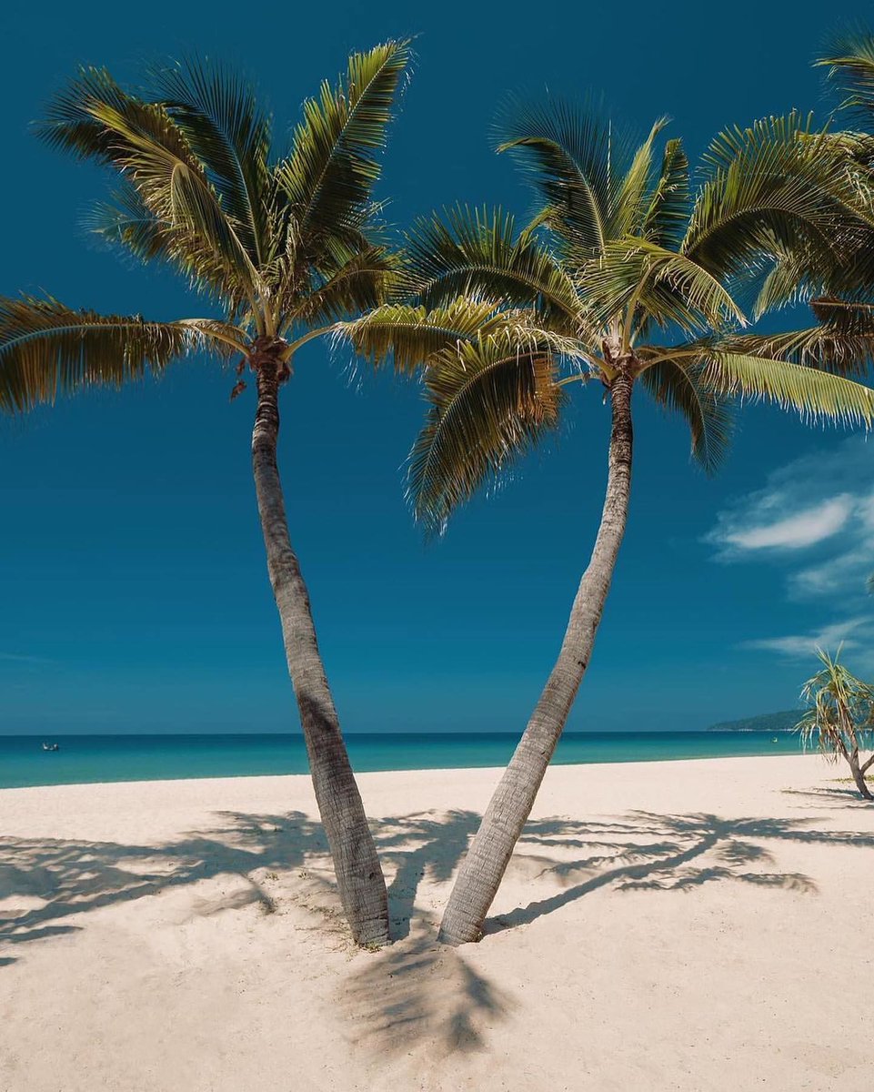 Amhaltravel's tweet photo. اكتشفوا جمال تايلاند، جنة آسيا، مع عروضنا الحصرية! 🌴🛫 احجز رحلتك الآن واستمتع بتجربة لا تُنسى. للتواصل:0550467467 🌐أو موقعنا: [https://t.co/zUVf7ibjeF ]
#سفر #سياحة #الرياض #السعودية #السفر_إلى_تايلاند #تايلاند_بعيون_سعودية #الرخصة_الدولية #عروض_خاصة #استكشاف_العالم https://t.co/eZEIvlcIly