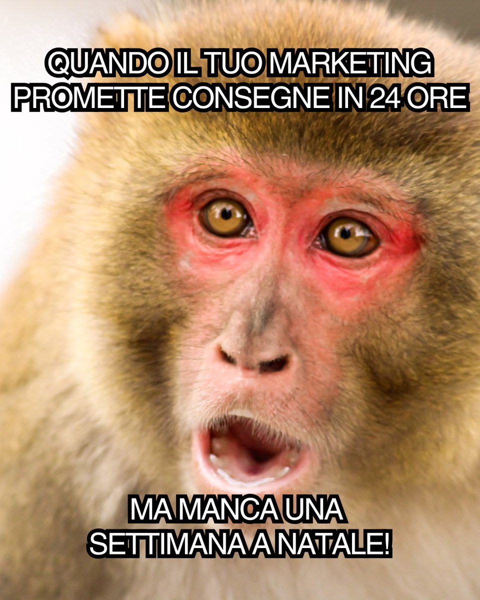 giuseppecerase's tweet photo. 🎁 Quando manca una settimana e il tuo marketing garantisce consegne in 24 ore, ma sappiamo tutti che la magia del Natale non arriva con un clic. 😅
👉 Pianifica prima, prometti solo ciò che puoi mantenere, e fai felici i tuoi clienti davvero! 🌟 https://t.co/8EGjJebwEz