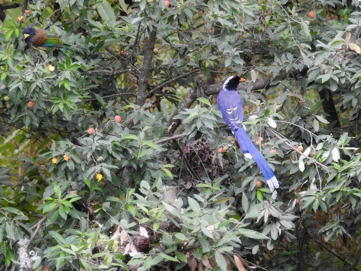 Neha Sinha tweet media