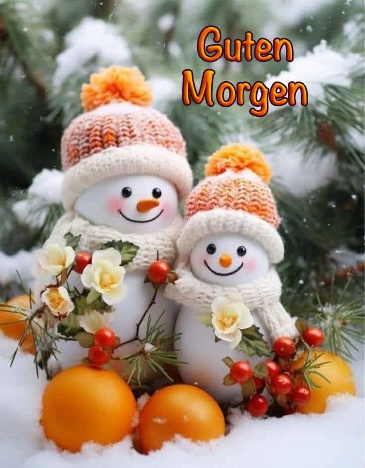 Wünsche allen einen schönen und fröhlichen Wochenteiler☃️❄️☃️⭐️🕯⭐️