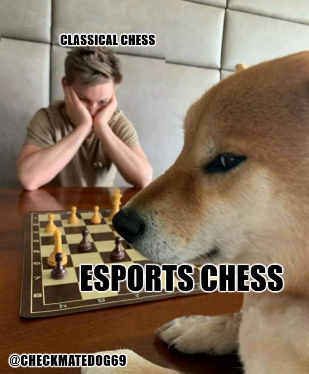 Checkmate Dog - GUKESH18 CTO (@checkmatedog69) on Twitter photo 