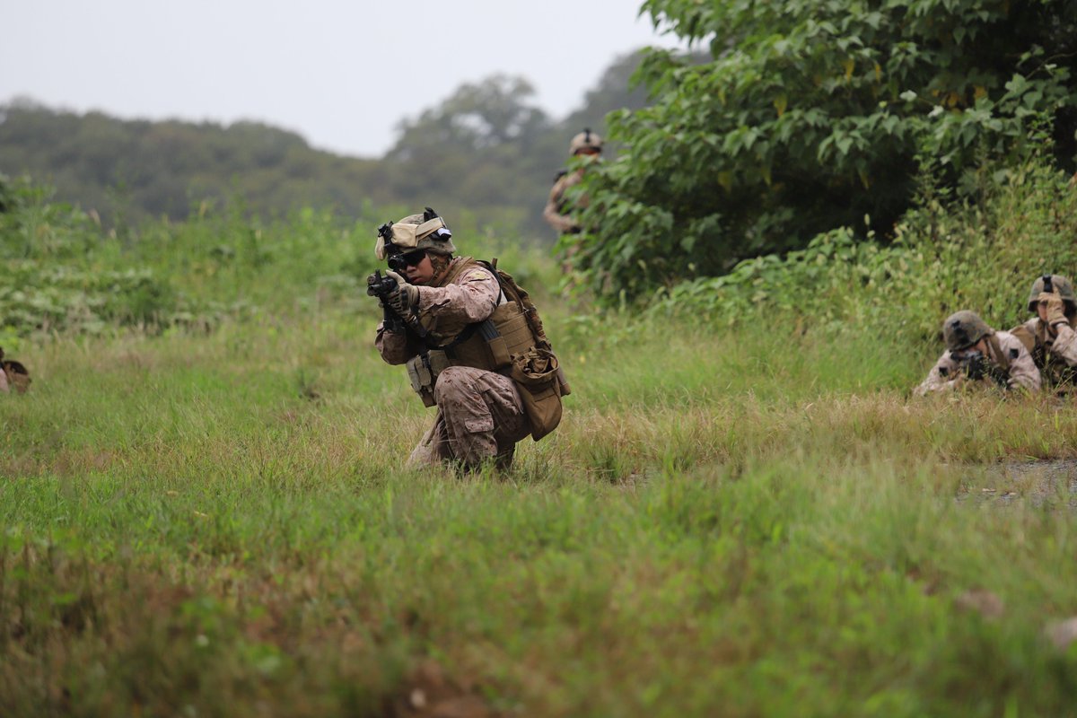 ろくごー tweet media