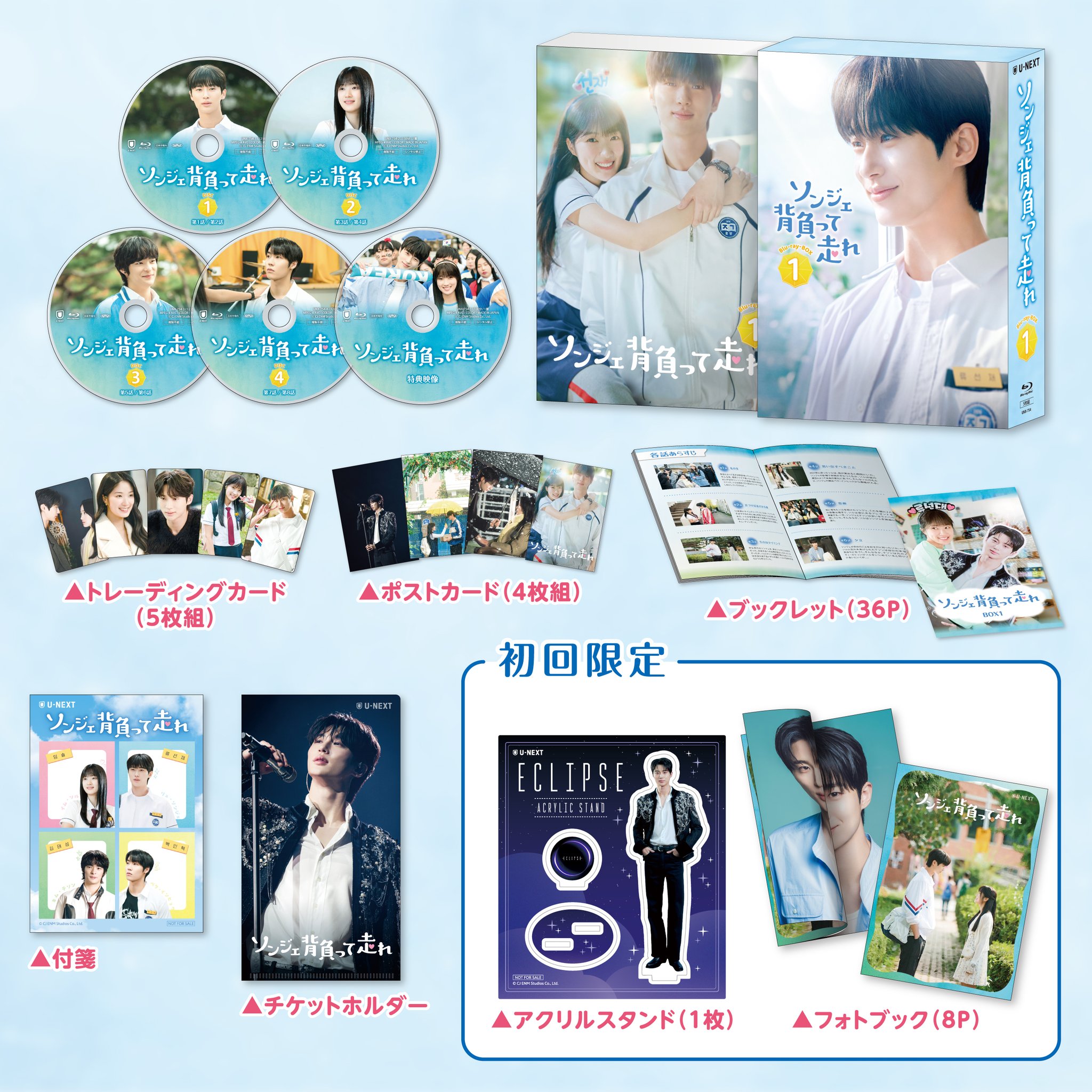1～13巻・23～32巻・YOU'RE NEXT巻（映画入場特典） 全24巻 Sendico - JDirectItems Shopping | Japanese film
