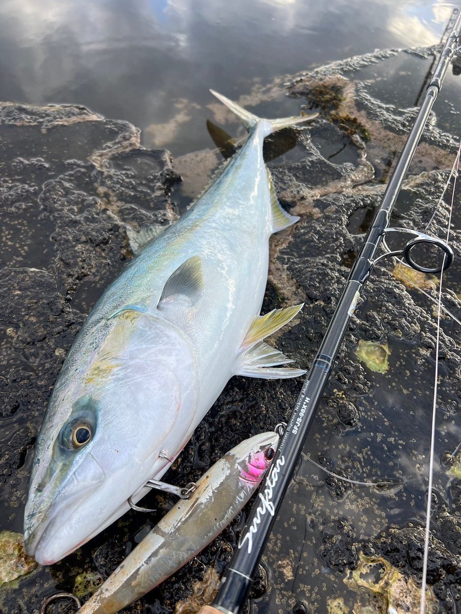 palms_global's tweet photo. Rock Shore with RUSH DIVE in Japan 🇯🇵
Rod: Surfstar
Lure: RUSH DIVE 180
Thank you Kyosuke !!
#palmsfishing #rockshore #kingfish #kingy @palms_japan https://t.co/njUOJIWEXC