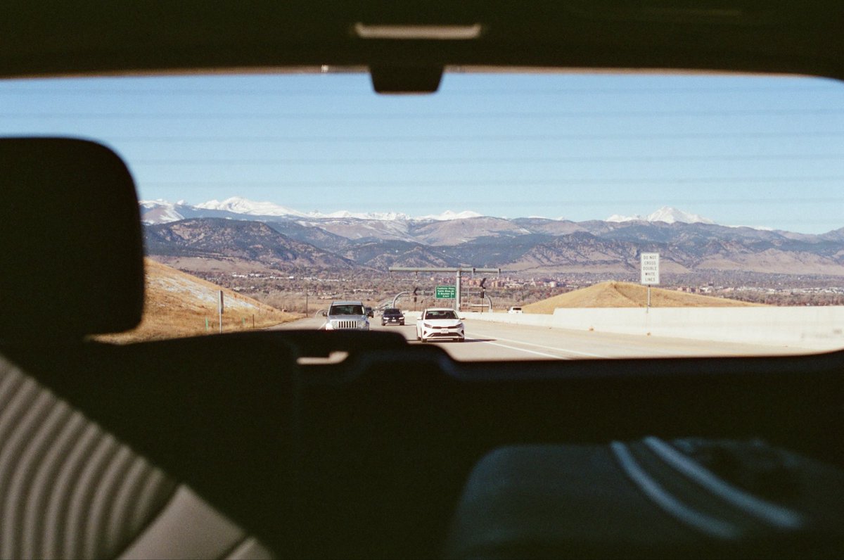 creespaschal's tweet image. Roll 2024-11-1 (CineStill 400D)