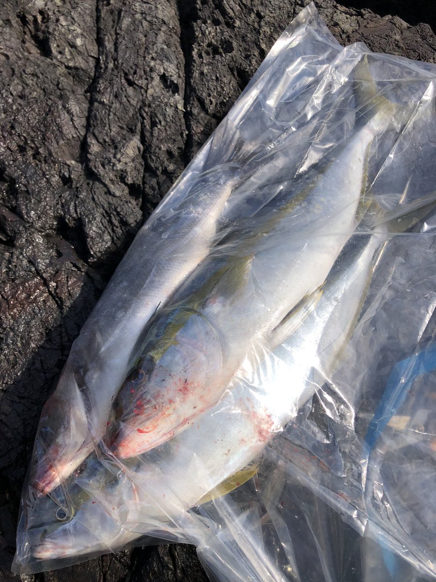 久しぶりの釣り！

笑顔で帰る！