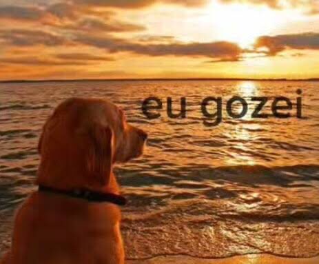 MemesLibidinoso's tweet image. 