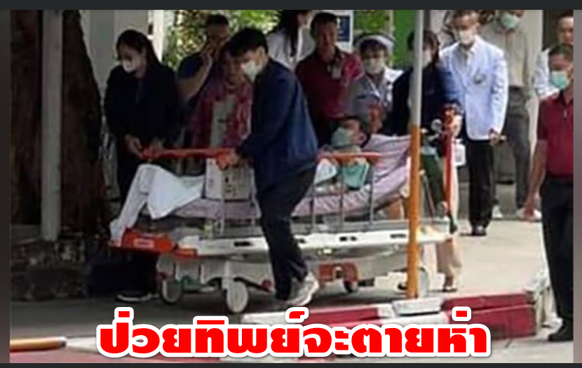 IamTHAI tweet media