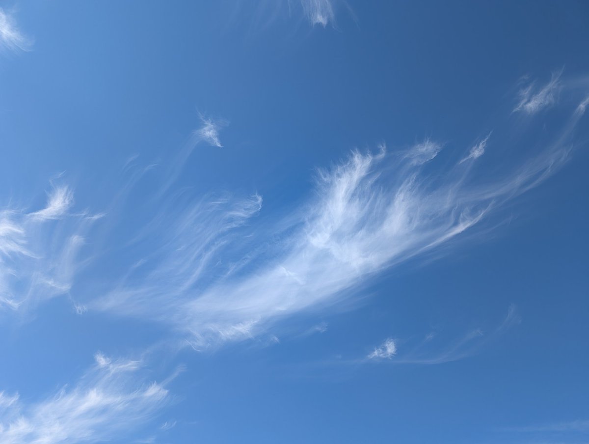 CSpirich's tweet photo. 🧚‍♀️
🧚‍♀️🕊️🧚‍♀️🧚‍♀️
　　🧚‍♀️
#イマソラ https://t.co/AzqOIT5FcN