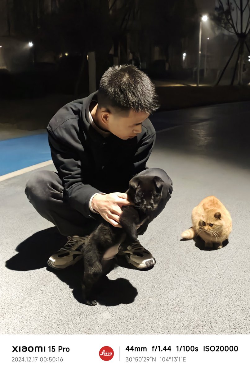 烎S tweet media