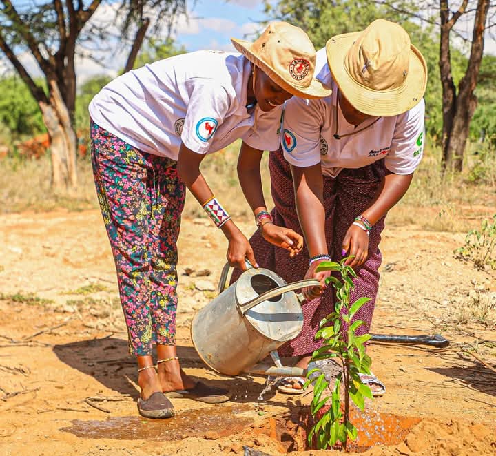 jackie_naami's tweet photo. Indigenous Women Arboretum. It was an impactful and inspiring day for everyone involved 👏 👏 
#girlpower 
#climatechange2024 
#medicinalplants 
#tressplanting  
Samburu Women Trust Jane Meriwas Hsc https://t.co/qPfrSmiDKC