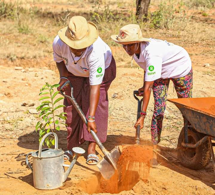 jackie_naami's tweet photo. Indigenous Women Arboretum. It was an impactful and inspiring day for everyone involved 👏 👏 
#girlpower 
#climatechange2024 
#medicinalplants 
#tressplanting  
Samburu Women Trust Jane Meriwas Hsc https://t.co/qPfrSmiDKC