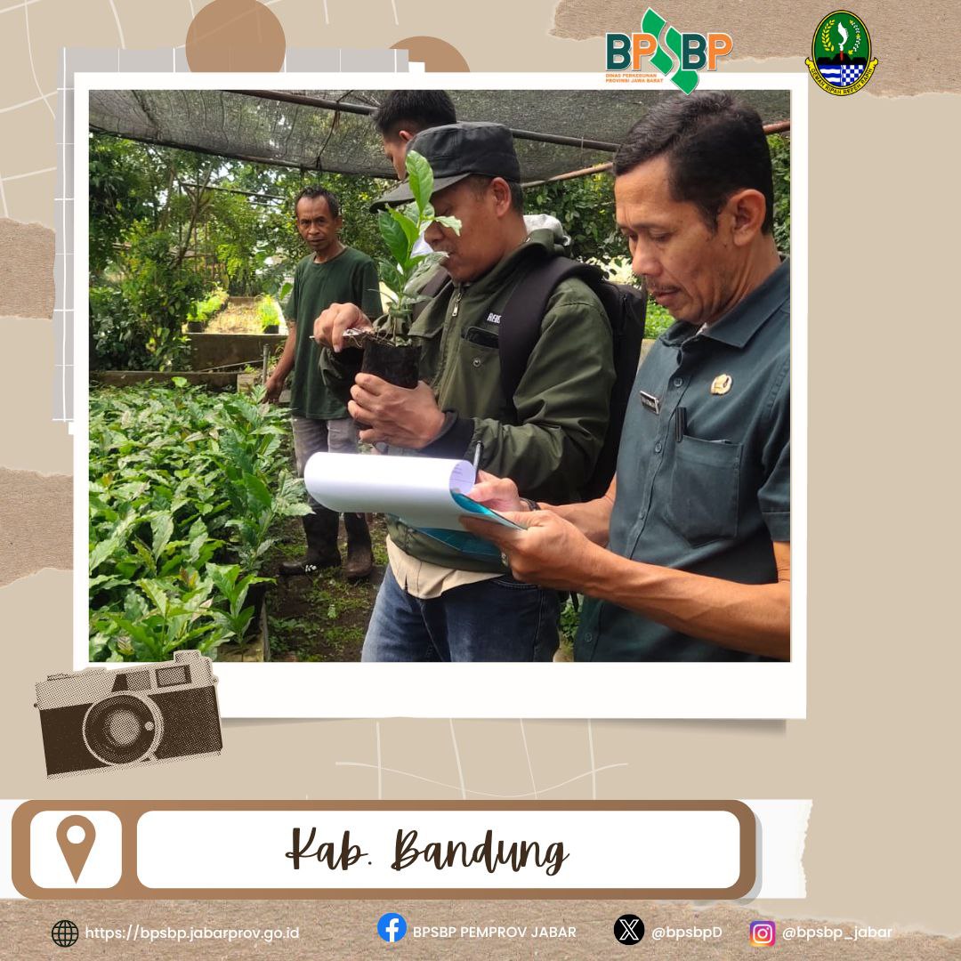 BPSBP.DisbunJabar tweet media