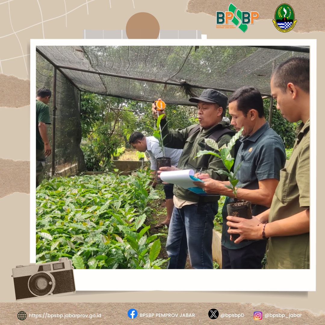 Sampurasun  #wargibun🌱

☕️🌱 Sertifikasi Benih Kopi di BPPBP Sindanglaya, Kabupaten Bandung 🌱☕️

BPSBP melaksanakan kegiatan sertifikasi benih kopi di Balai Pengembangan dan Produksi Benih Perkebunan (BPPBP) Sindanglaya, Kabupaten Bandung.