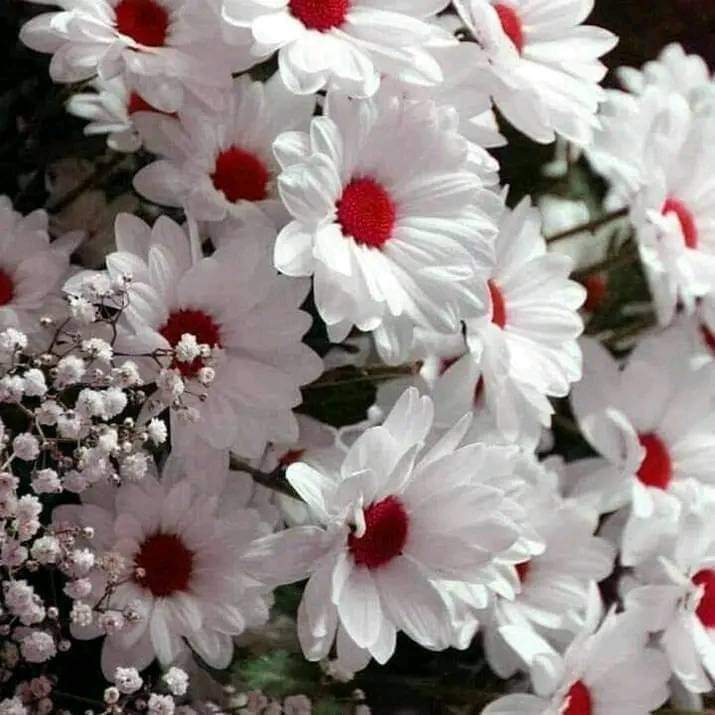 <a href="/__s0011/">سُـــڪـره❤</a> <a href="/bndralkhaldy7/">بــنــدر الخــالدي</a> <a href="/nacC5gYclFpSXtz/">سمراء العرب 🤍🇰🇼</a> <a href="/MdSmRm/">حروف الوصل مغردة</a> <a href="/Hnmatlk123/">عاشق الزعيم💙</a> <a href="/barg11_/">مجنون شهار 🚬</a> <a href="/nawa55ed/">NaWaF.</a> <a href="/R_55_D/">‏﮼‏احساس،شاعر ❦.</a> <a href="/3jwdy/">جودي</a> @MM34614676 @_dl555 <a href="/WALEED_AAM/">🇸🇦 ‏ أنيق حرف ✍🏻</a> <a href="/_d6lll/">سڪـره❤</a> مشكورة يا نسمة التايم 💚💚
اجمل اطلالة لليوم هوه حسابك في صفحتنا 💚