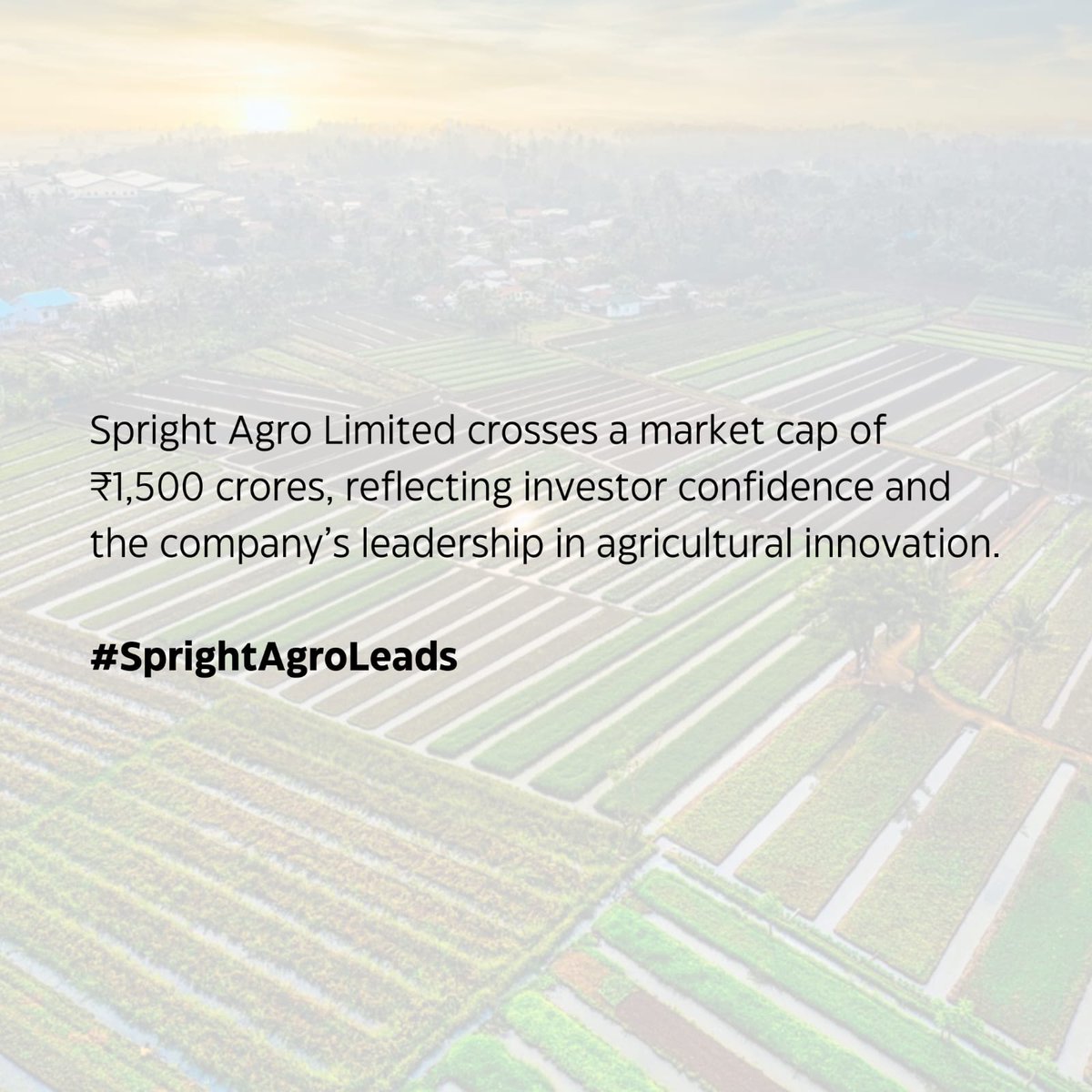 Operational excellence and financial prudence define spright agro limited journey ensuring long term success..
#SprightAgroLeads