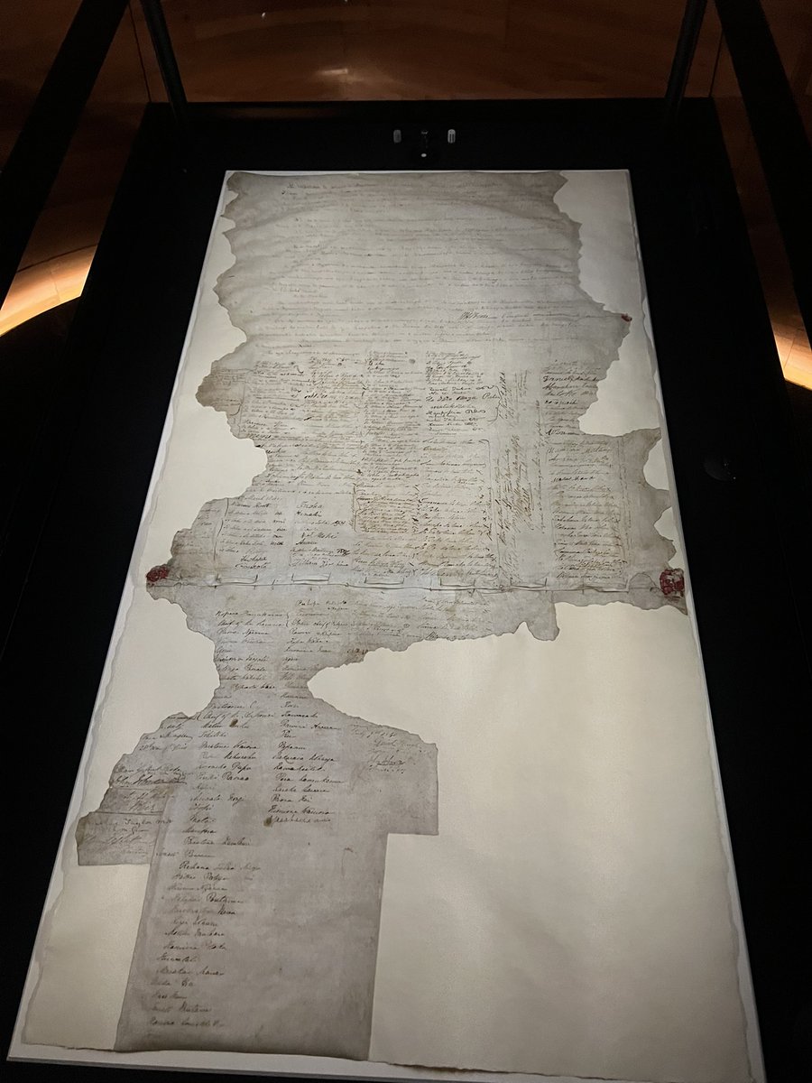 Ceriphinz's tweet image. Did you know you can just walk in and see our most important documents whenever you like? He whakaputanga, te Tiriti o Waitangi and the Women’s suffrage petition, all amazing taonga, all available for us to see anytime (well anytime the National library is open)