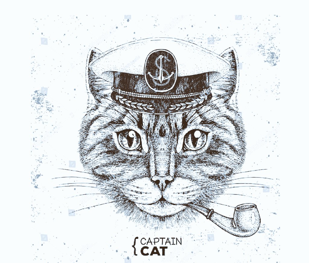 SolanaExpertt's tweet photo. 🚀 CaptainCat is poised to dominate the crypto space! 🌐

🔥 Discover the power of CaptainCat on 

DEXScreener: https://t.co/PQRCoXKGwv

💥 Ready to ride the wave? Join the CaptainCat community on Telegram now and stay ahead of the curve! 

Tg: https://t.co/SyAacmpinu 

💡 The future of Solana and crypto just got brighter with CaptainCat—don't miss your chance to be part of something BIG!

📈 With incredible growth potential and a passionate community, CaptainCat is your next big opportunity.

📲 Follow for daily updates, exclusive insights, and all the news you need: 

X: https://t.co/fSrqz25ixY

Join the revolution. 🌍 #CaptainCat is changing the game—be part of it today!
#Solana #Crypto #Blockchain #100xPotential #CryptoGains #CaptainCatCommunity #FutureOfCrypto