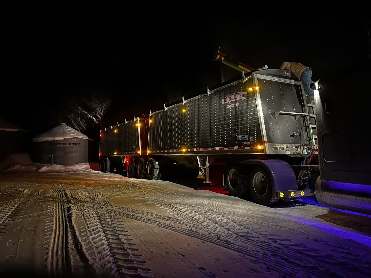 It’s just the haul before the storm. #grain #farming #hauling <a href="/may_troy/">T-ROY'S TRUCKING LTD</a> has the best team.