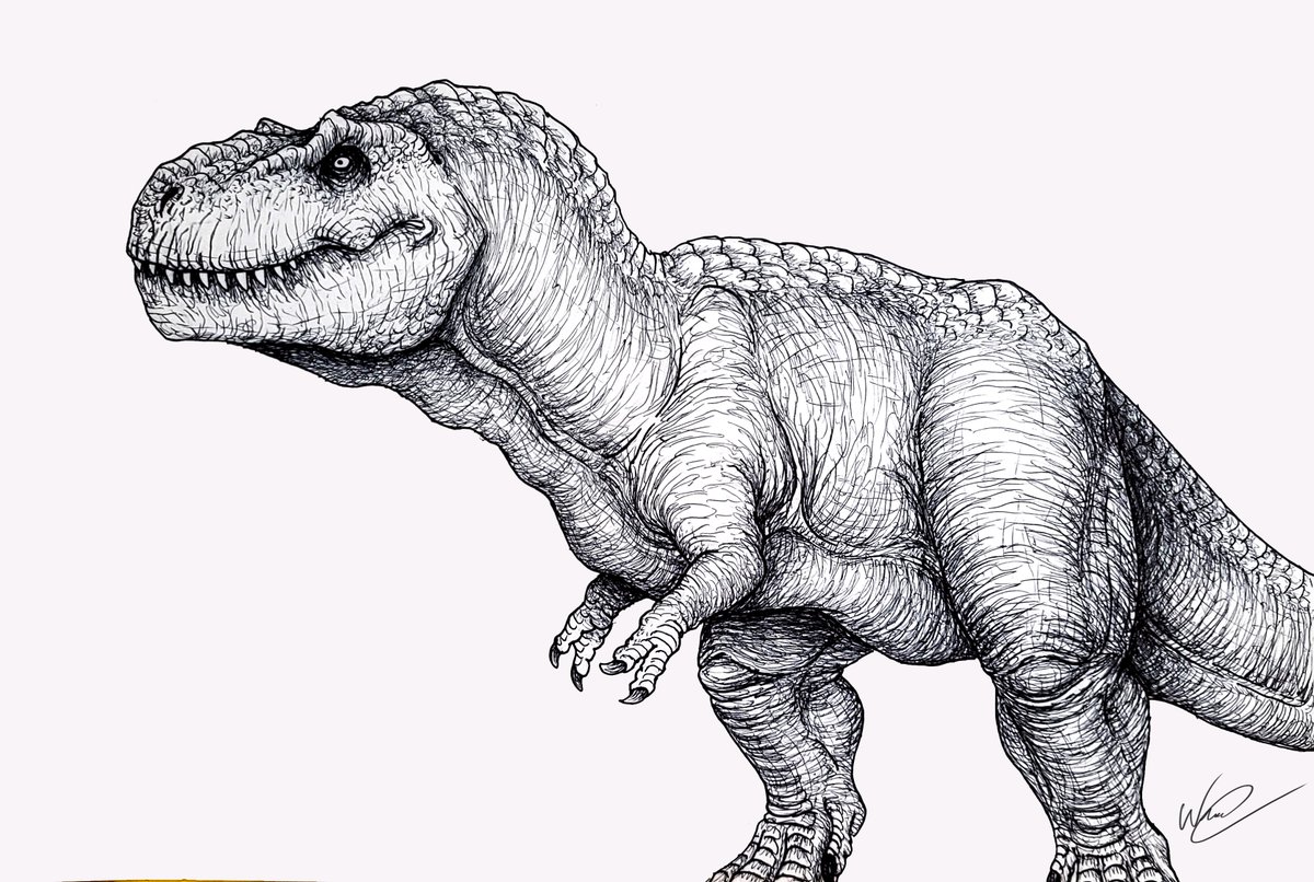 Na onda das especulações sobre os novos visuais dos dinos de #JurassicWorldRebirth, fiz alguns conceitos com a ajuda de <a href="/Maxwell_BSK/">Max_BSK</a> e @r_jovinski para as descrições e referências, seguem as artes dos prováveis #Spinosaurus e #Tyrannosaurus.