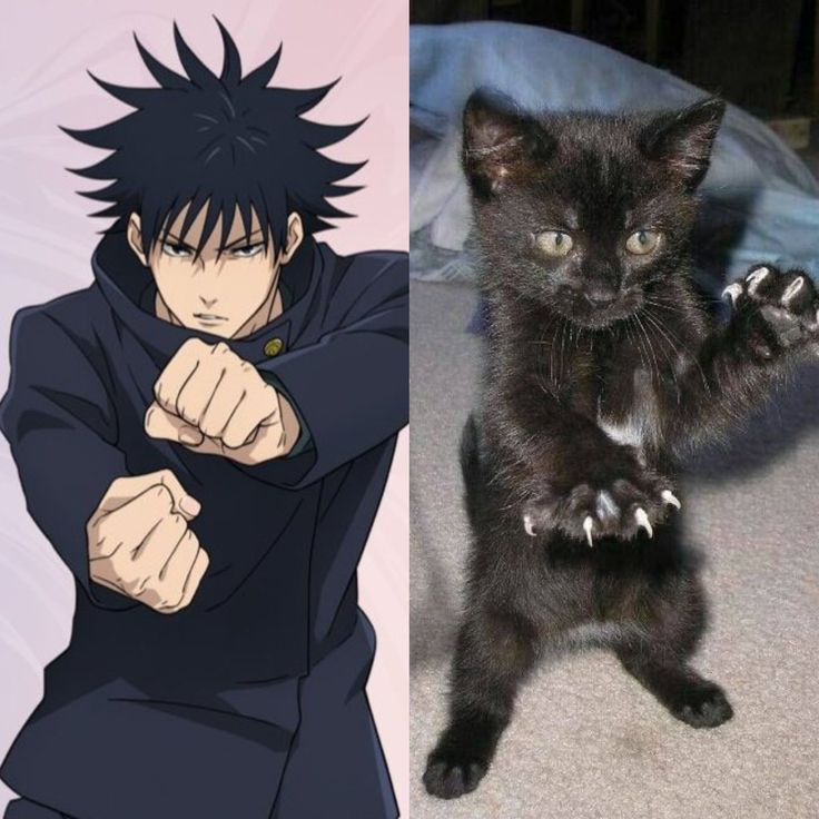 Beli the best (@yngjwngwon) on Twitter photo 